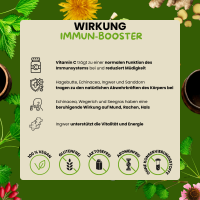 Veganer Kräutersirup Ingwer + Vitamin C: Glutenfrei & Laktosefrei