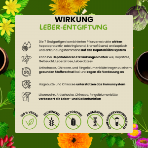 Pflanzliche Kraft für Leber und Galle, Leberkomplex, Leberkur – Vegan, 200ml