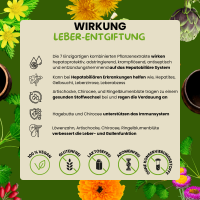 Pflanzliche Kraft für Leber und Galle, Leberkomplex, Leberkur – Vegan, 200ml