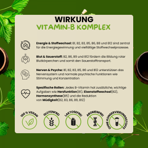 Vitamin B-Komplex für Kinder für starke Abwehrkräfte - Kräutersirup, 200ml